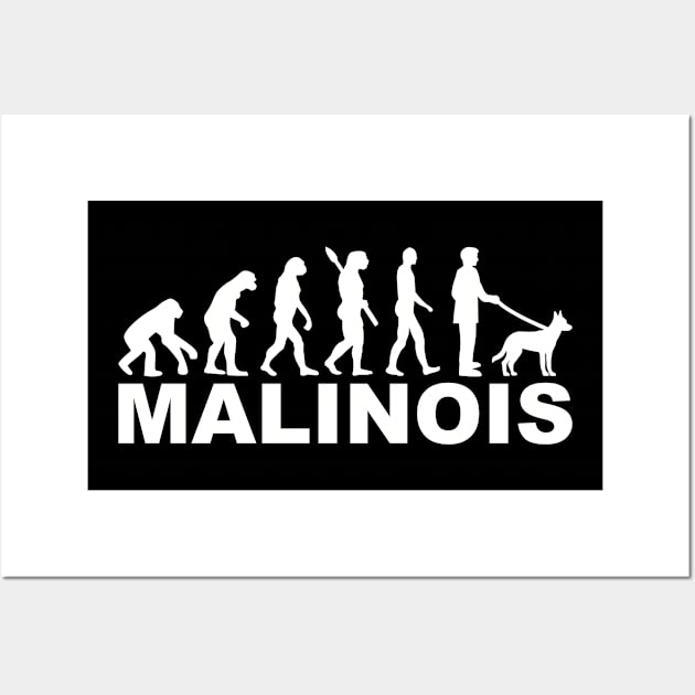 Malinois Evolution Wall Art by Designzz